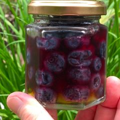 A picture of Honey Blueberry 🫐.