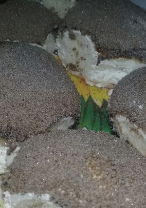 Una foto de Tortitas negras
