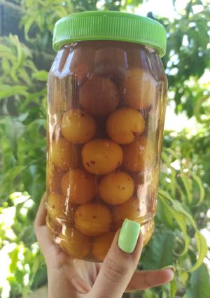 عکسی از دستور ترشی آلو