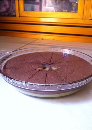 Foto resep puding coklat fla alpukat