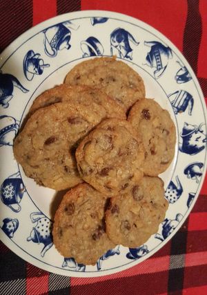 A picture of Chocolate chip cookies w/ walnut and coconut.