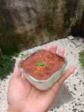 Mini Yoghurt Cake