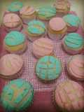 Manteconchas