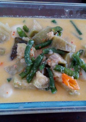 Foto resep Lodeh suka suka