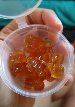 Foto resep Permen Gummy Dino