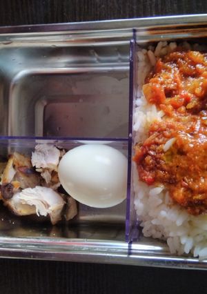 A picture of White Rice, stew, grilled chicken and egg.