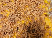 A picture of green bean casserole