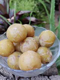 આથેલા આમળા (Athela Amla Recipe In Gujarati) રેસીપી મુખ્ય ફોટો