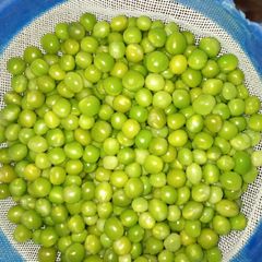 A picture of Maintaining green peas colour.