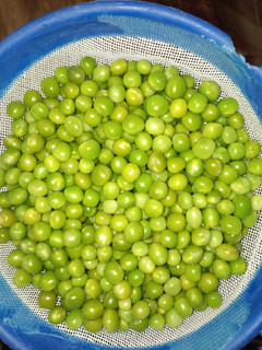 A picture of Maintaining green peas colour.