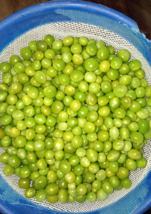 A picture of Maintaining green peas colour.