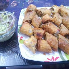 A picture of Spring Rolls with Salad.