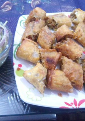 A picture of Spring Rolls with Salad.