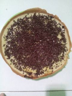 Foto resep Martabak teflon perdana