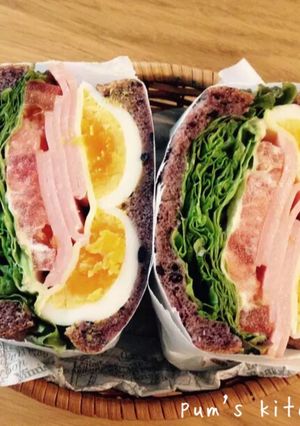 A picture of Hearty Sandwich!.