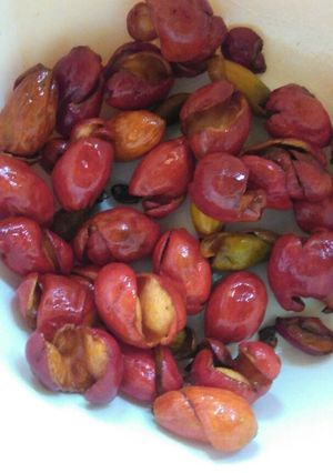 Foto resep Keripik kulit melinjo