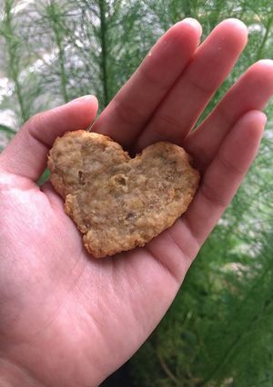 Hình của món Bánh khoai lang yến mạch.