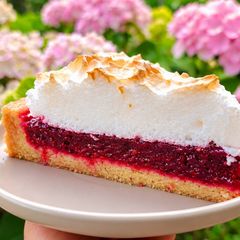 A picture of The Most Delicate Berry Meringue Pie.