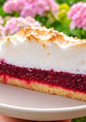 A picture of The Most Delicate Berry Meringue Pie.