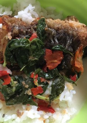 Foto resep Ikan Lele Bumbu Kemangi Santan