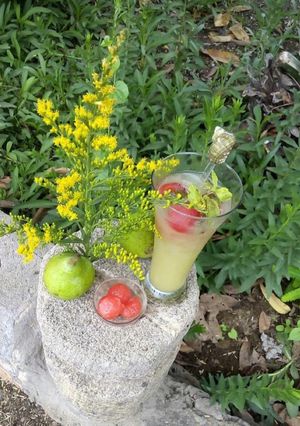 A picture of Watermelon pear punch.