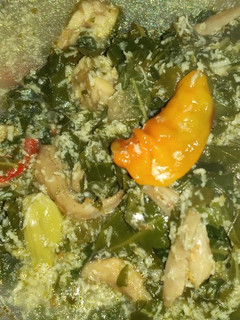 Foto resep Oblok2 daun singkong
