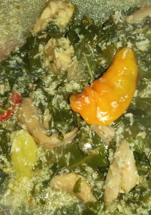 Foto resep Oblok2 daun singkong