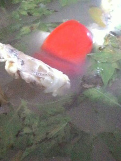 Foto resep Sup ikan kepala kakap putih