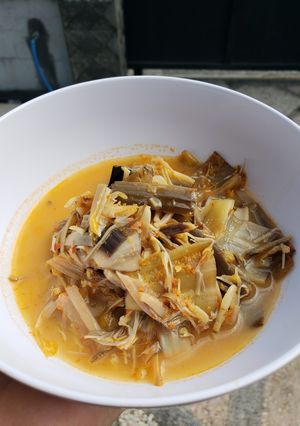 Foto resep Lodeh Jantung Pisang / Ontong dengan Fiber