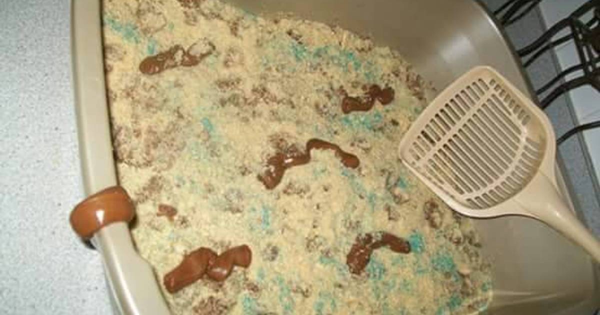Kitty Litter Cake Recipe by Misty Bass Cookpad