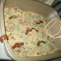 A picture of Kitty Litter Cake.