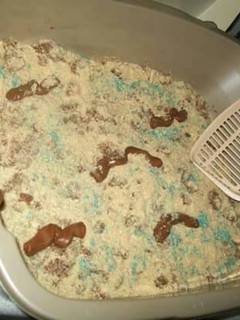 A picture of Kitty Litter Cake.