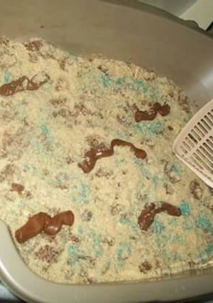 A picture of Kitty Litter Cake.