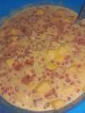 Defudzi's mango sago
