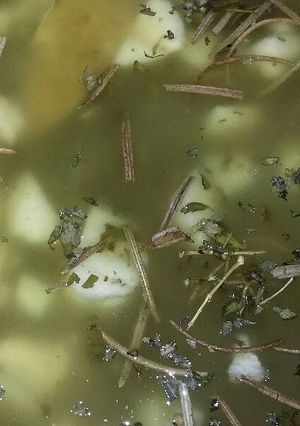 Una foto de Salmuera con chimichurri para adobar carnes