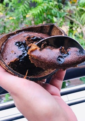 A picture of Chocolate cake in coconut shell.