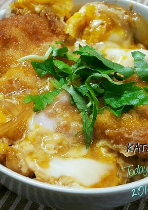 A picture of Ultimate Katsudon in 10 Minutes for Anyone.