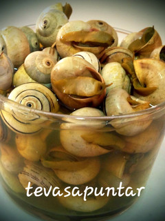 Una foto de Caracoles a la andaluza 🐌 🐌 🐌