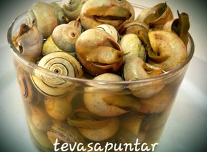 Foto principal de Caracoles a la andaluza  🐌 🐌 🐌