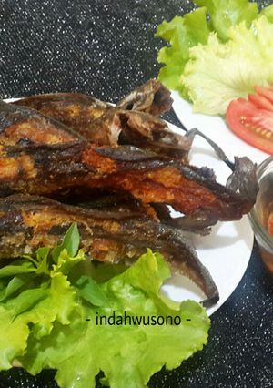 Foto resep Lele Goreng plus Sambal Enak