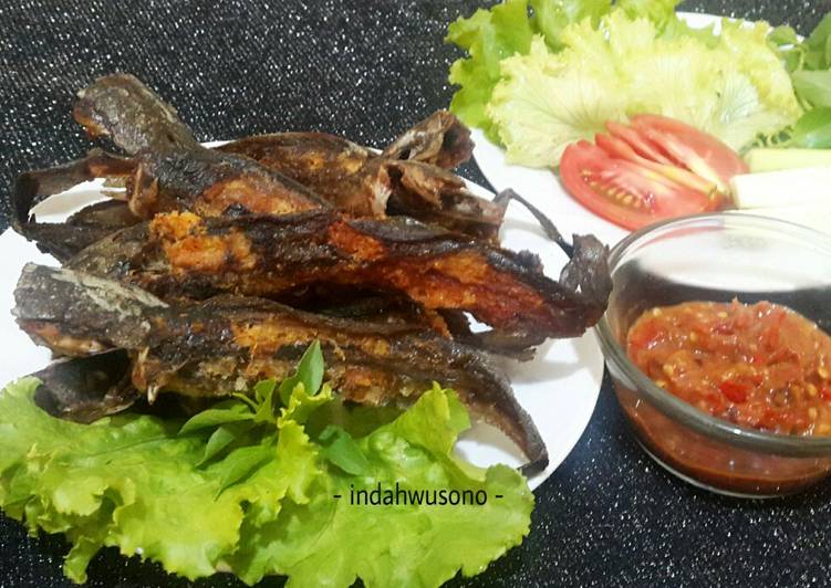 Resep Lele Goreng plus Sambal Enak Anti Gagal