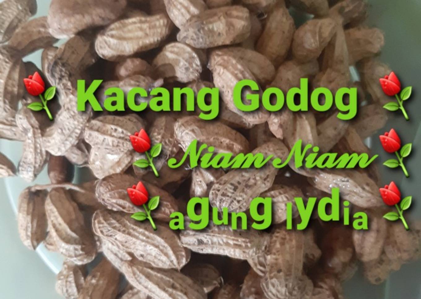 47. KACANG GODOG