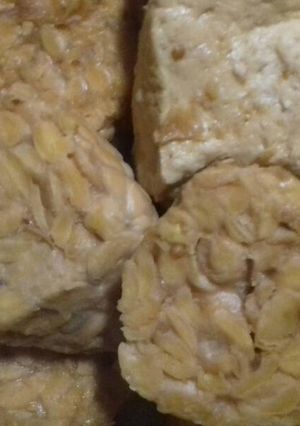 Foto resep Tahu tempe godok sehat