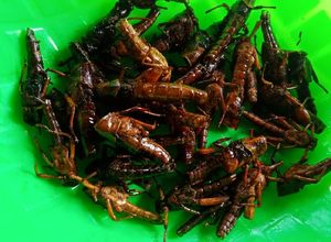 Foto resep Walang goreng