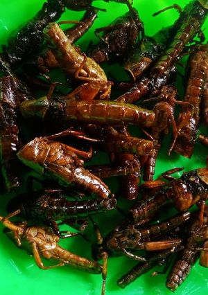Foto resep Walang goreng