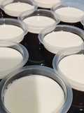 Puding cokelat vla susu