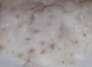 Foto resep Bubur nasi saring dengan daging mentok cincang