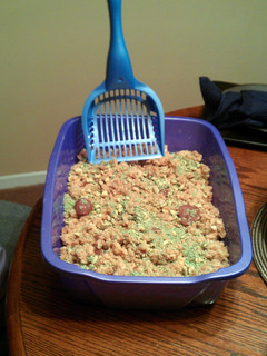 A picture of Kitty Litter Cake.