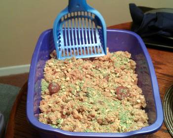 Ready to Serve Kitty Litter Cake Delicious Simple