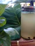 Water Kefir (Basic)